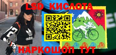 круглые Бийск