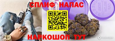 jwh Беслан