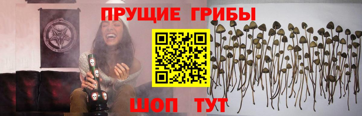 Астрахань  Галлюциногенные грибы MAGIC MUSHROOMS  Галлюциногенные грибы мицелий  Вход с VPN 